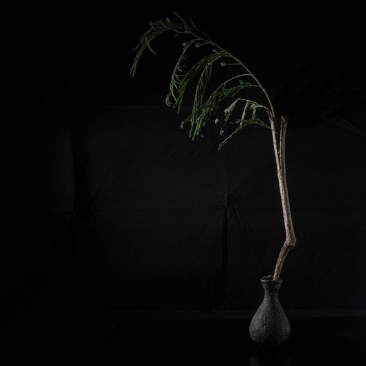 Wood fired bottle | 柴燒瓶